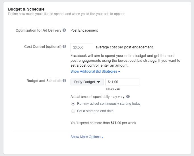 How to set Facebook Budget