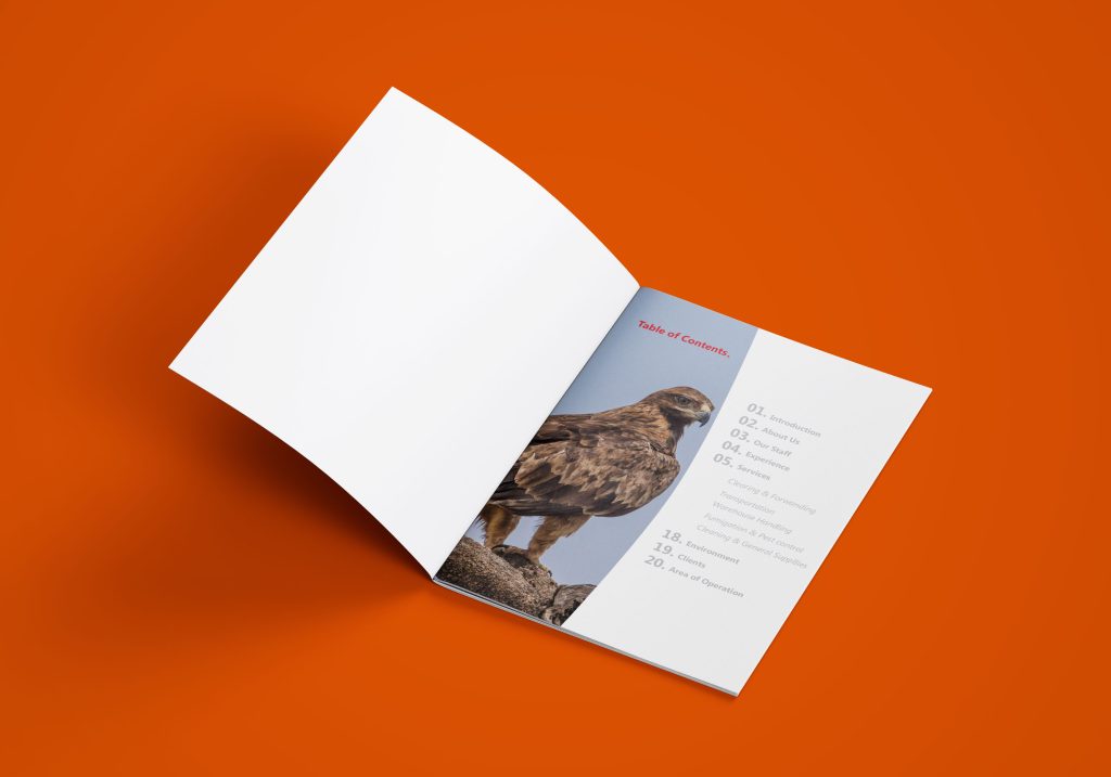 Company profile graphic design services