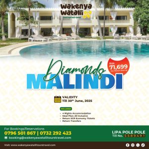 Tour company banner designers